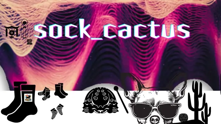 Sock Cactus — Rhythm Ritual