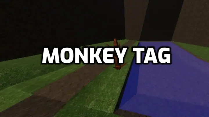 Monkey Tag
