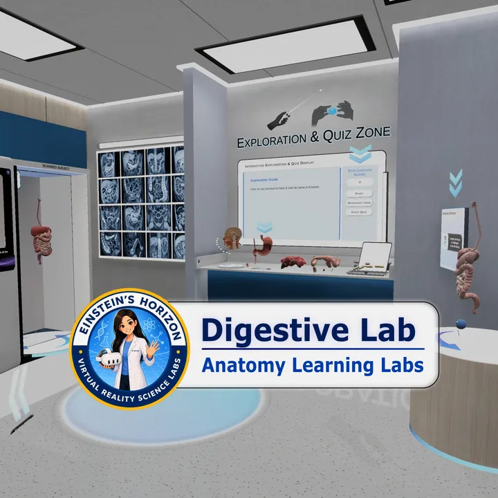 Anatomy Learning Labs: Digestive Lab