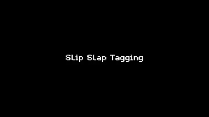 Slip Slap Tagging