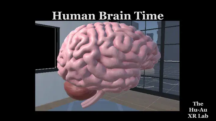 Human Brain Time