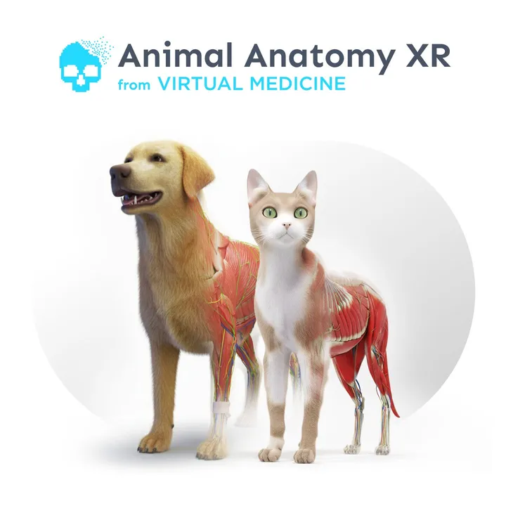 Animal Anatomy XR