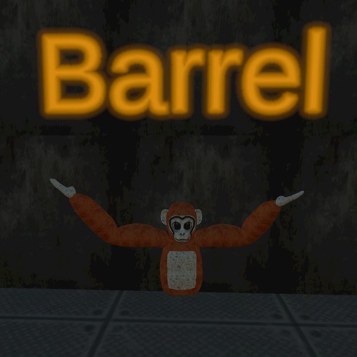 Barrel vr