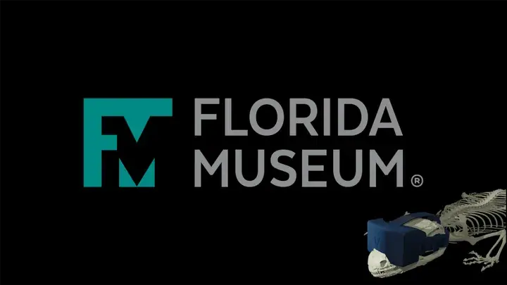Florida Museum Alligator Collection