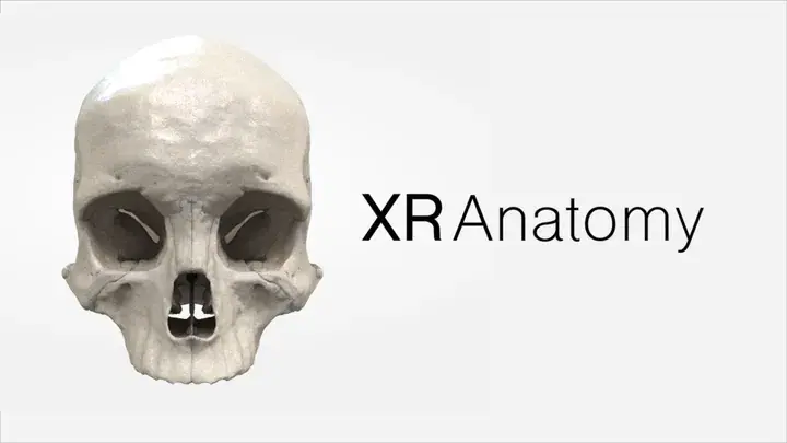 XR Anatomy